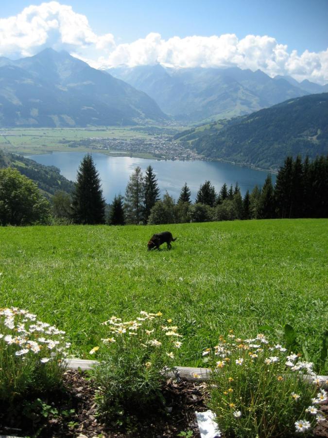 Gadenstatter Apartments In Der City Zell am See Exterior photo